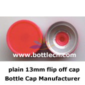 plastic flip top cap mold